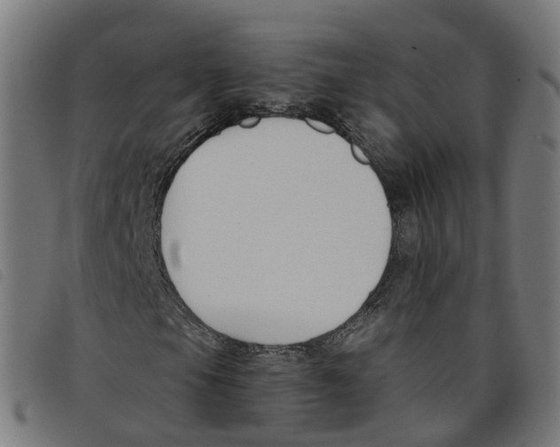 X0000098051105200804251057