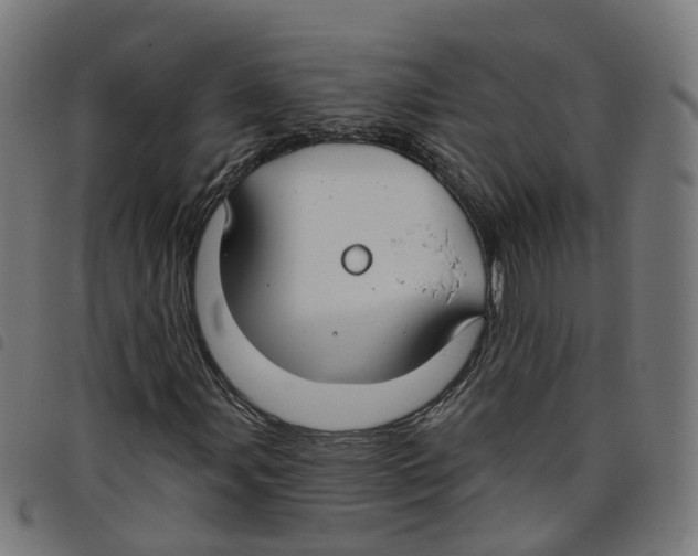 X0000098051107200804251057