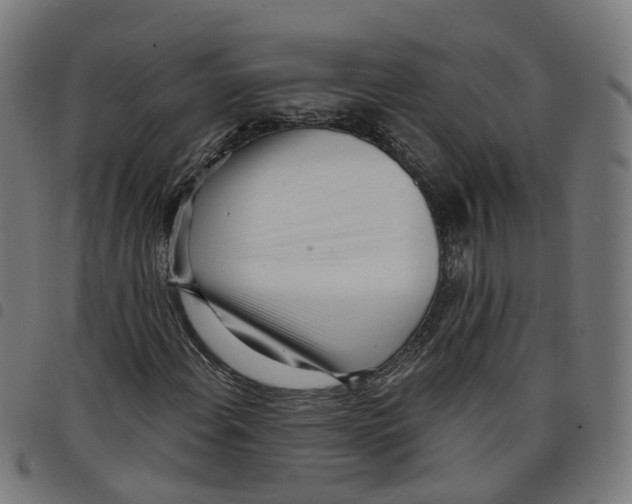 X0000098051108200804251057