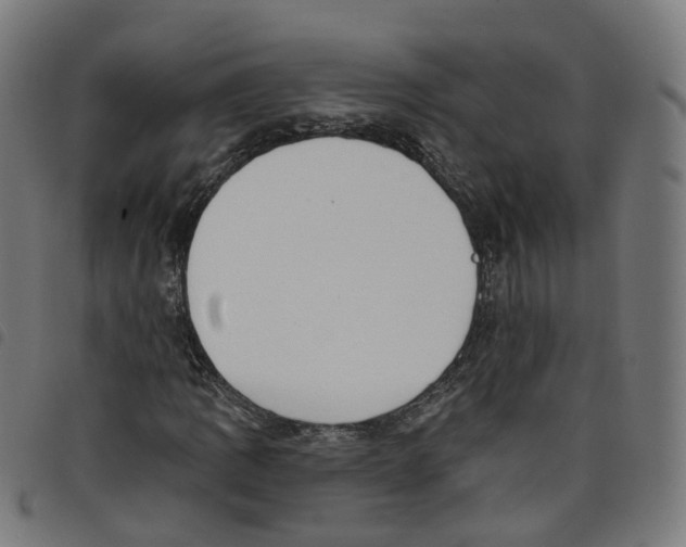 X0000098051109200804251057