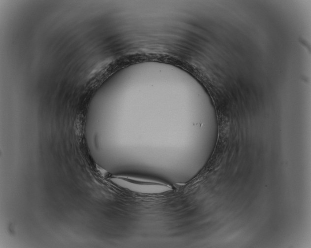 X0000098051110200804251057