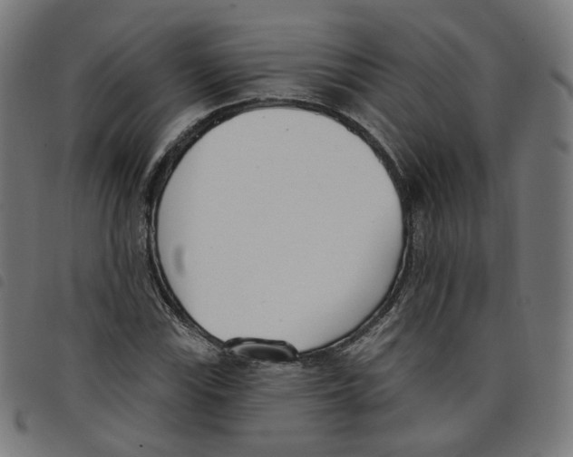 X0000098051115200804251057