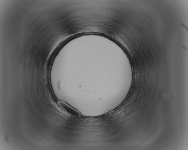 X0000098051116200804251057