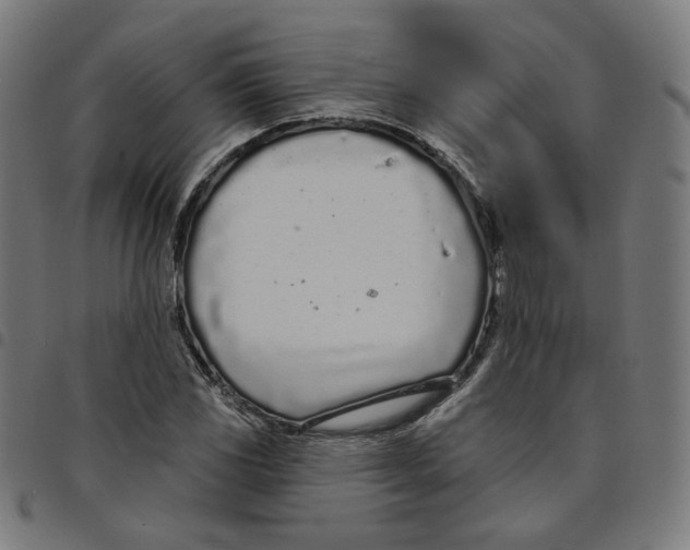 X0000098051117200804251057