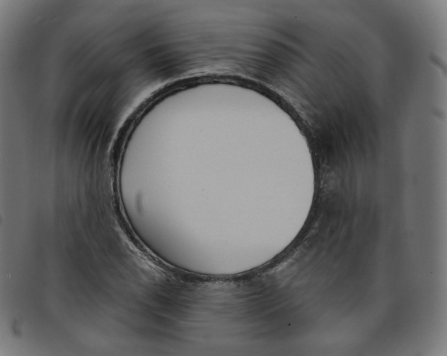 X0000098051118200804251057