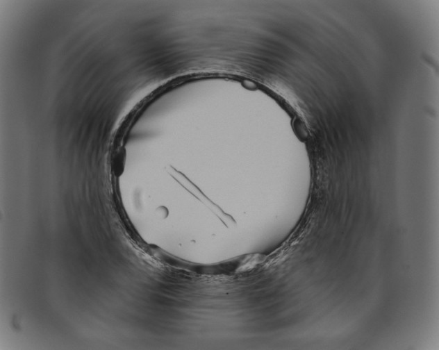 X0000098051120200804251057