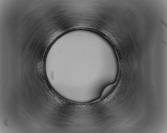 X0000098051121200804251057