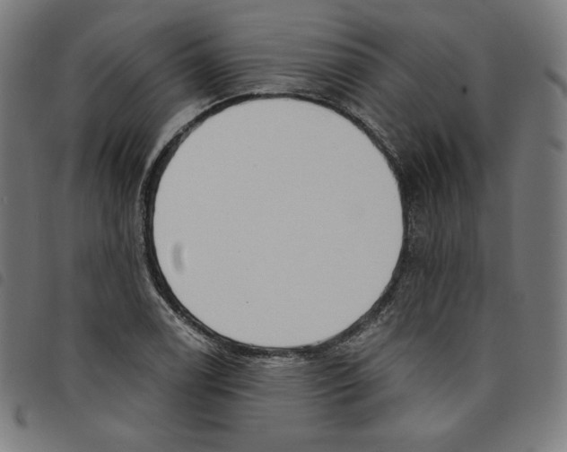 X0000098051122200804251057