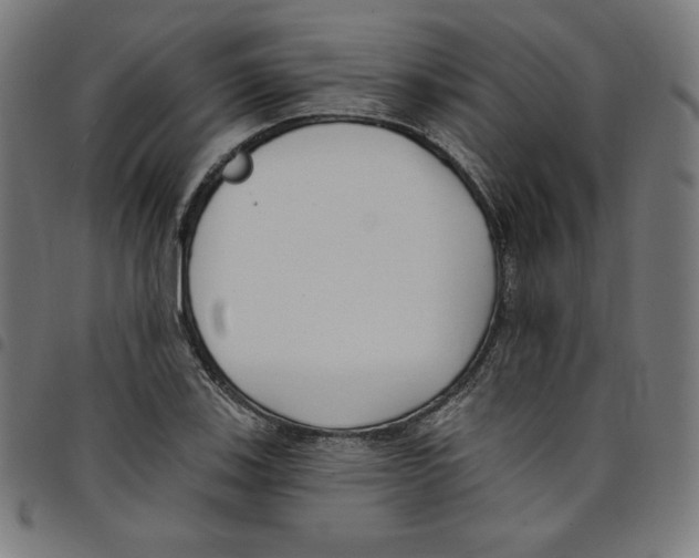 X0000098051123200804251057