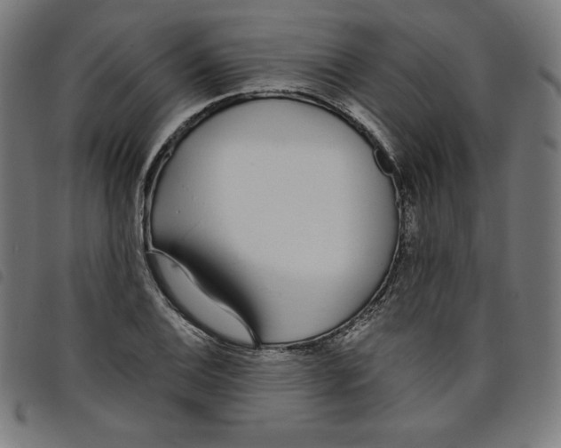 X0000098051124200804251057