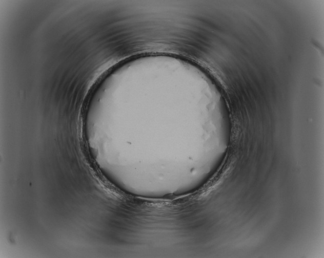 X0000098051125200804251057