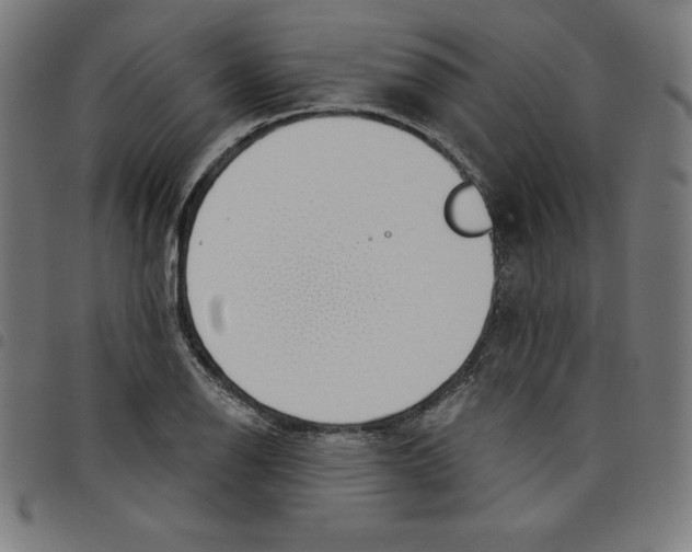 X0000098051126200804251057