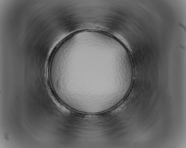 X0000098051128200804251057