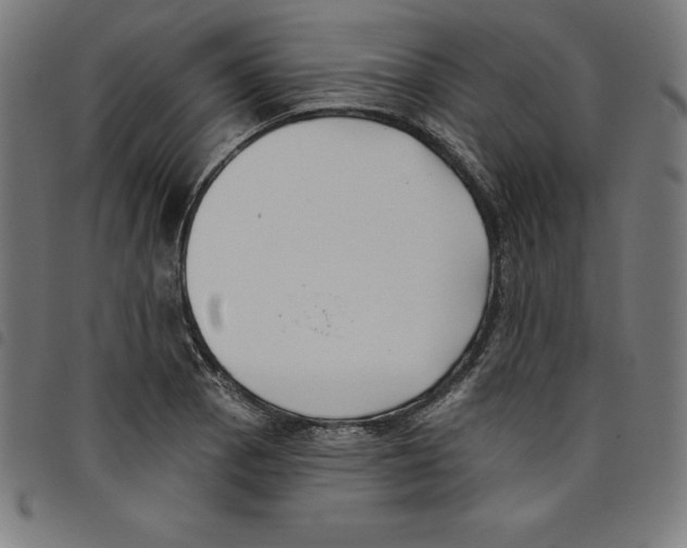 X0000098051129200804251057