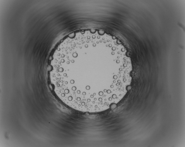 X0000098051130200804251057