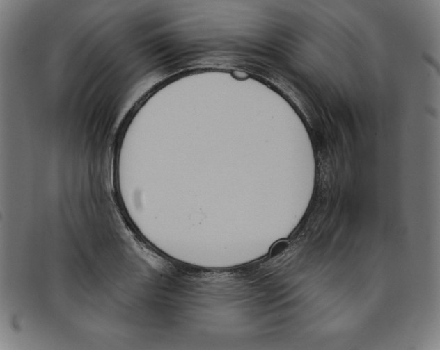 X0000098051131200804251057