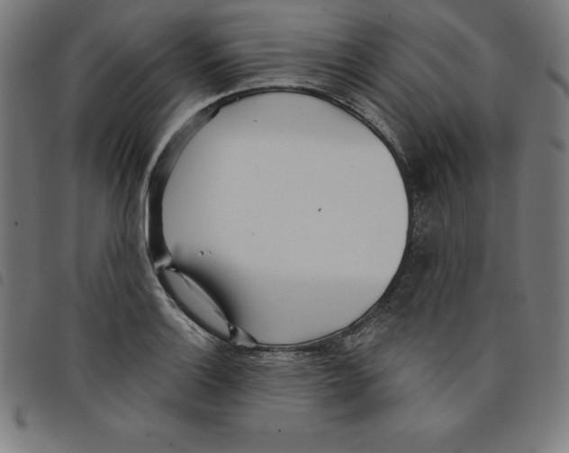 X0000098051132200804251057