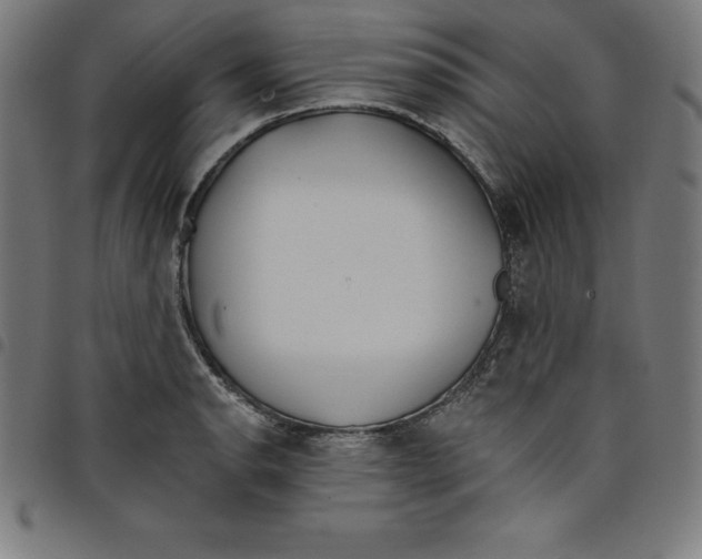 X0000098051134200804251057