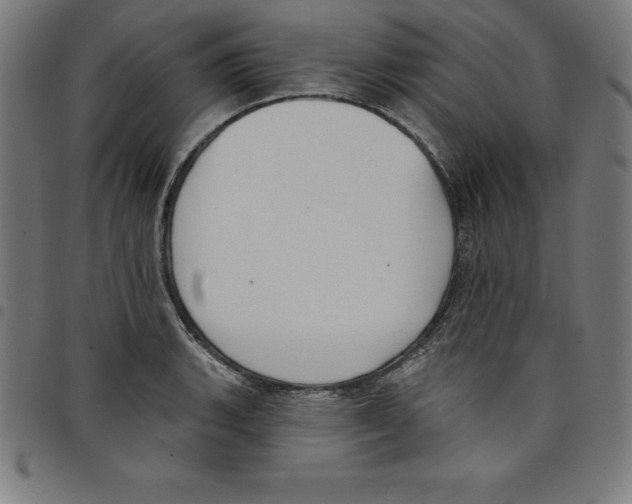 X0000098051135200804251057