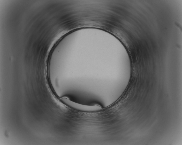 X0000098051136200804251057