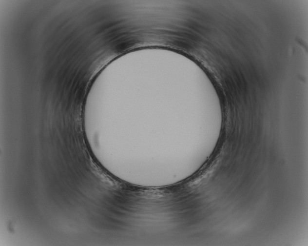 X0000098051137200804251057