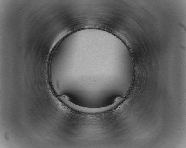 X0000098051138200804251057