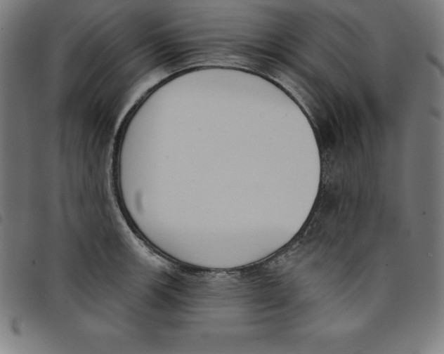 X0000098051139200804251057