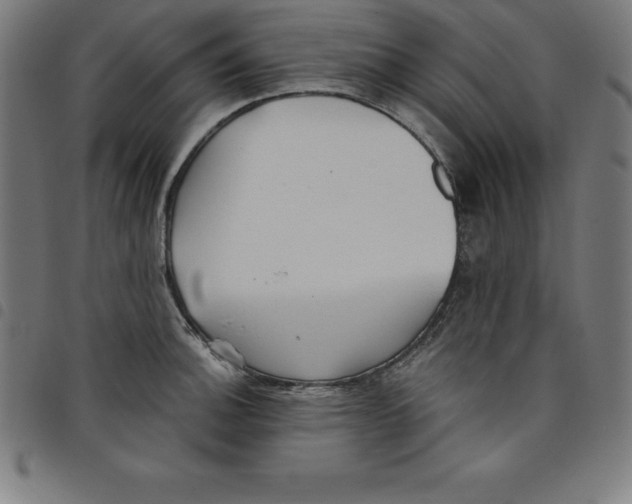 X0000098051140200804251057