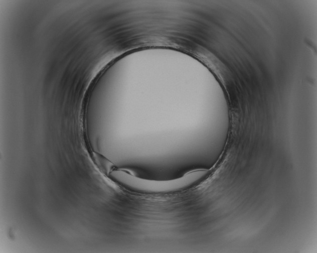 X0000098051141200804251057