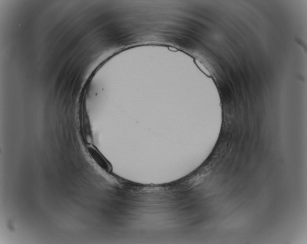 X0000098051142200804251057