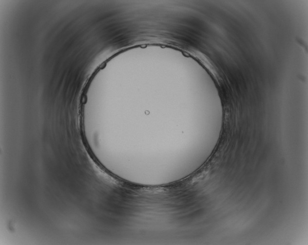 X0000098051143200804251057