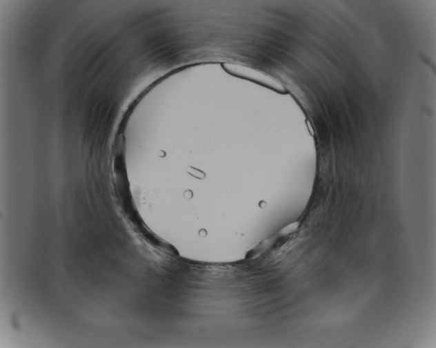 X0000098051144200804251057