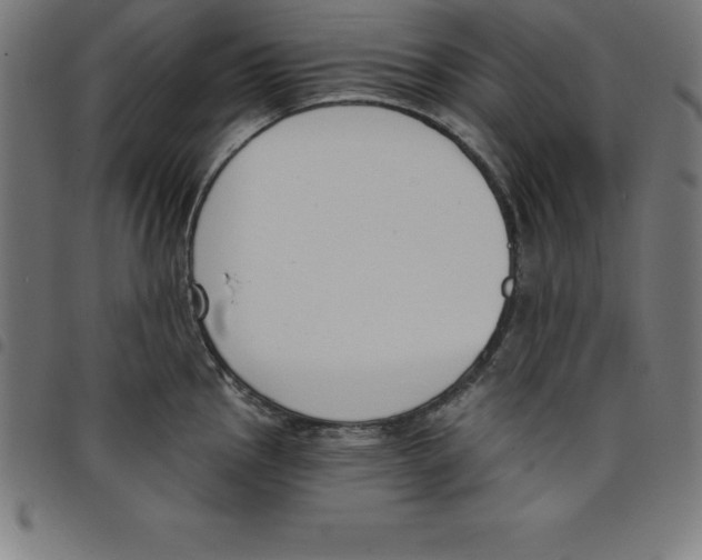 X0000098051145200804251057