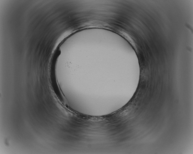 X0000098051146200804251057