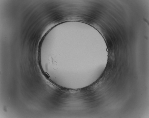 X0000098051147200804251057