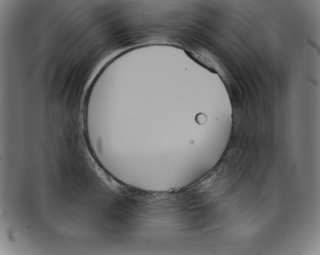 X0000098051148200804251057