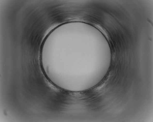 X0000098051149200804251057