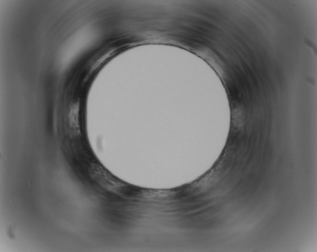 X0000098051150200804251058