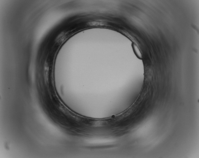 X0000098051151200804251058