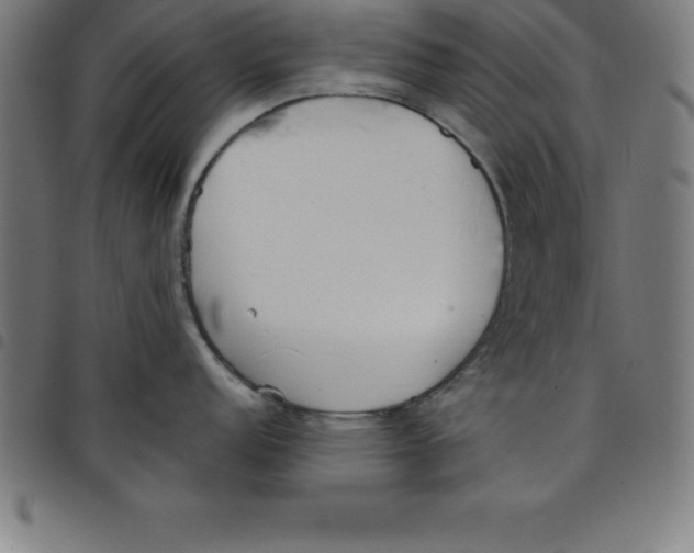 X0000098051152200804251058