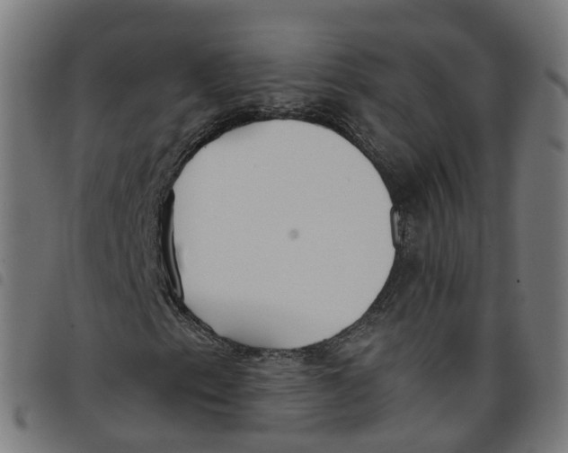 X0000098051153200804251057