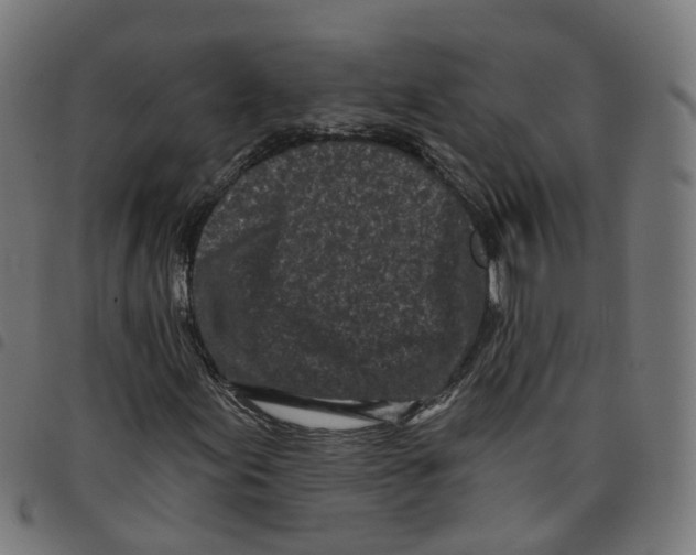 X0000098051155200804251057