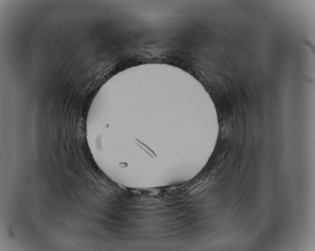 X0000098051156200804251056