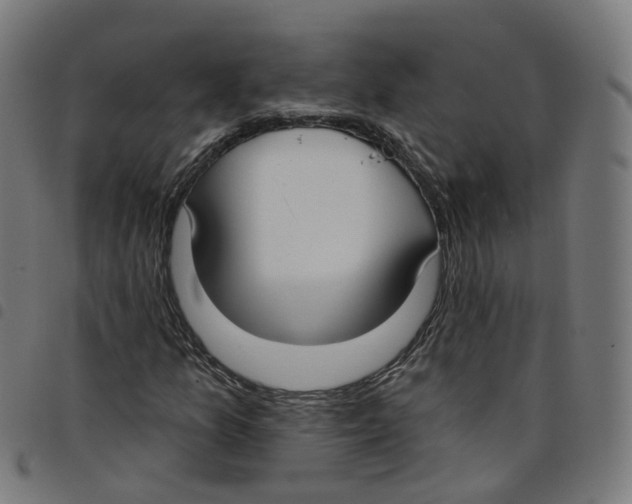 X0000098051157200804251056