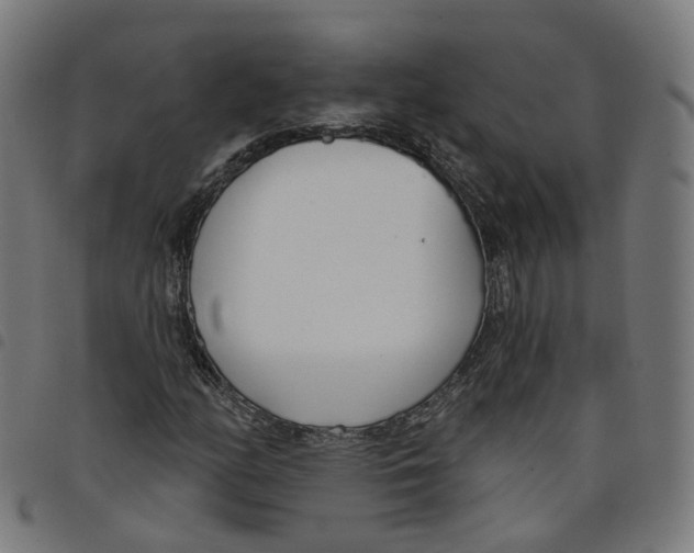 X0000098051158200804251056