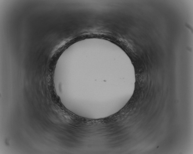 X0000098051159200804251056