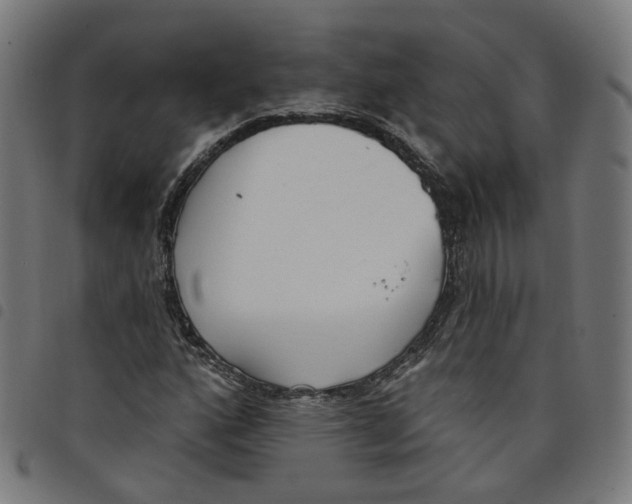 X0000098051160200804251056