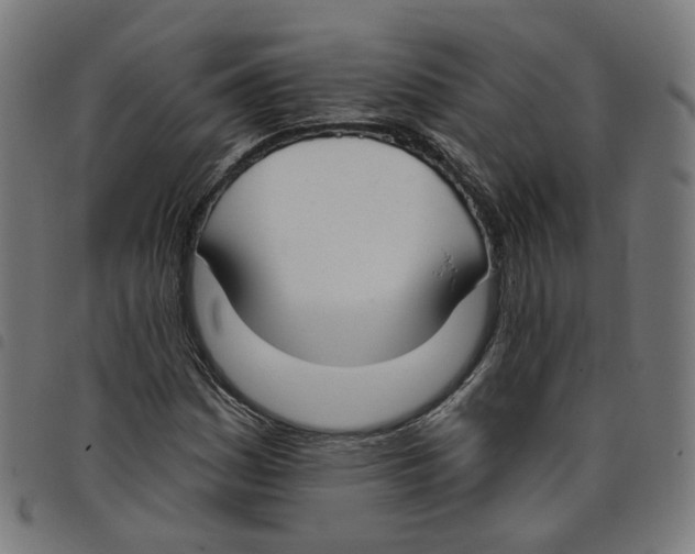 X0000098051161200804251056