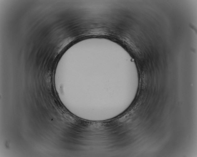 X0000098051162200804251056