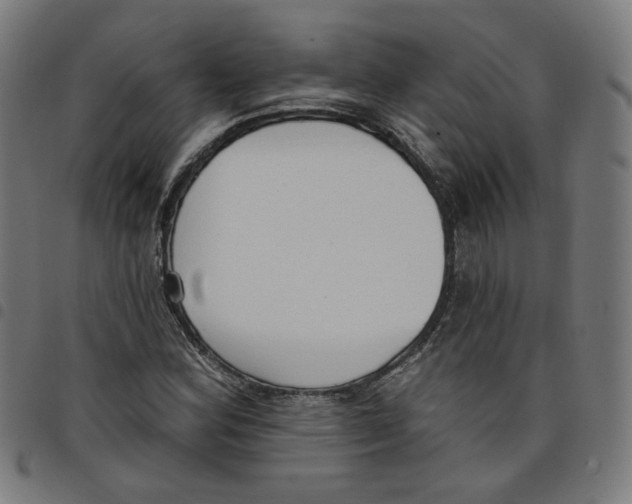 X0000098051164200804251056